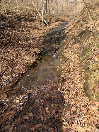 5.2 Acres of Improved Land for Sale in Ashland City, Tennessee