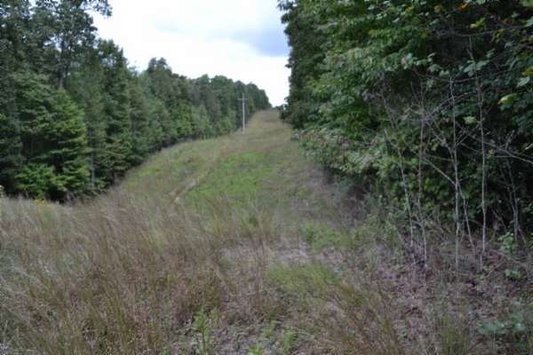 25.8 Acres of Recreational Land for Sale in Sparta, Tennessee