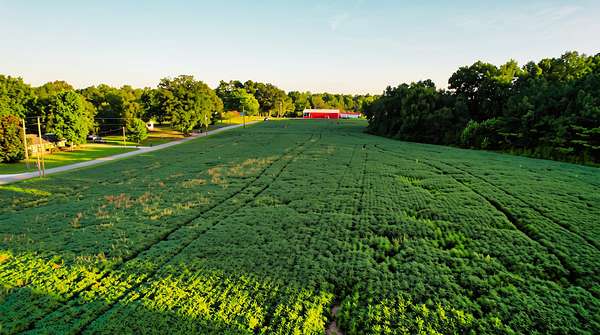 3.43 Acres of Residential Land for Sale in Athens, Alabama