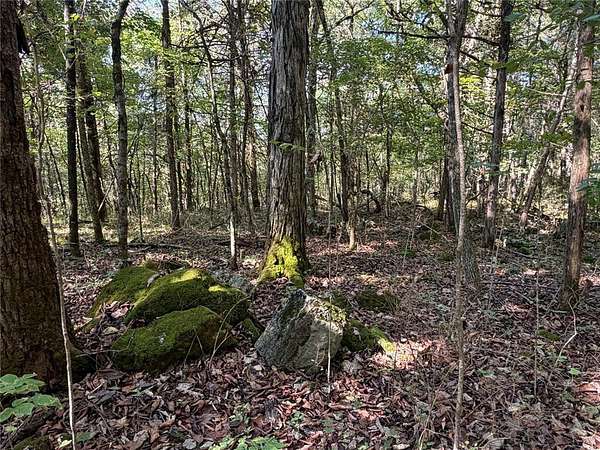 20 Acres of Recreational & Residential Land for Sale in Deer, Arkansas
