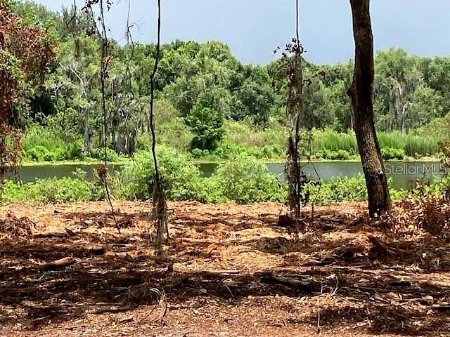1.4 Acres of Residential Land for Sale in Odessa, Florida