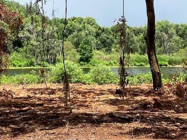 1.4 Acres of Residential Land for Sale in Odessa, Florida