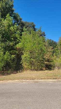 0.25 Acres of Residential Land for Sale in Tupelo, Mississippi