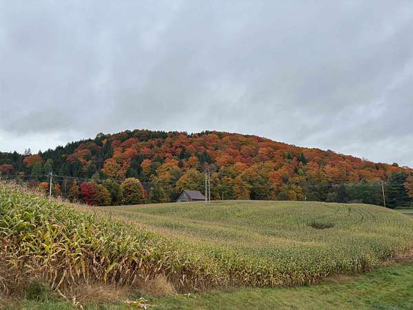 6.83 Acres of Residential Land for Sale in Lyndon, Vermont