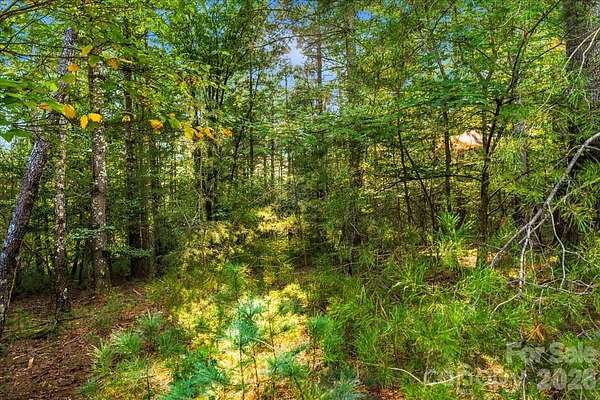 2.43 Acres of Residential Land for Sale in Nebo, North Carolina