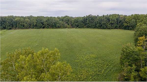 19.1 Acres of Land for Auction in Diamond, Ohio