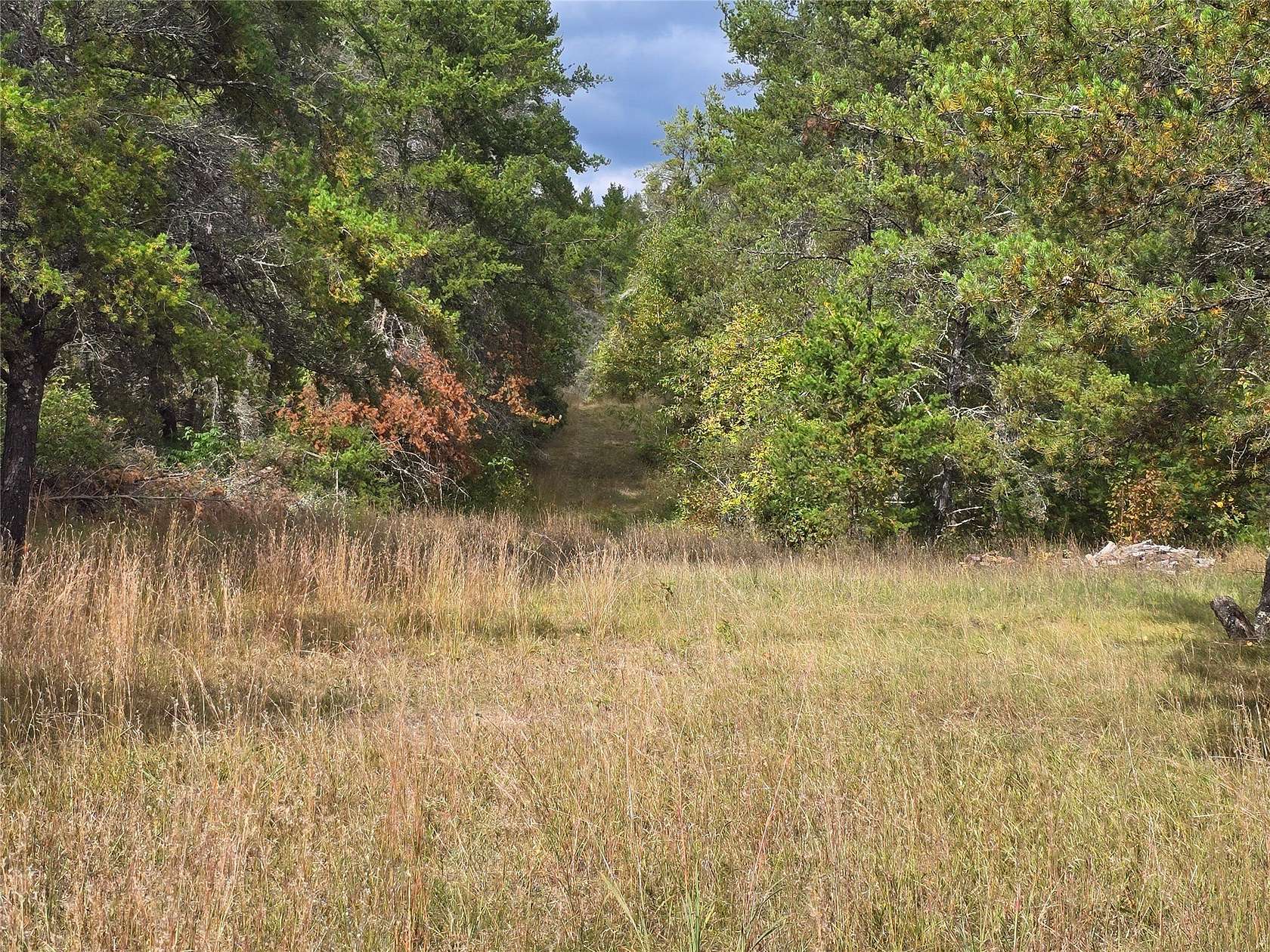 10 Acres of Recreational Land for Sale in Trego, Wisconsin