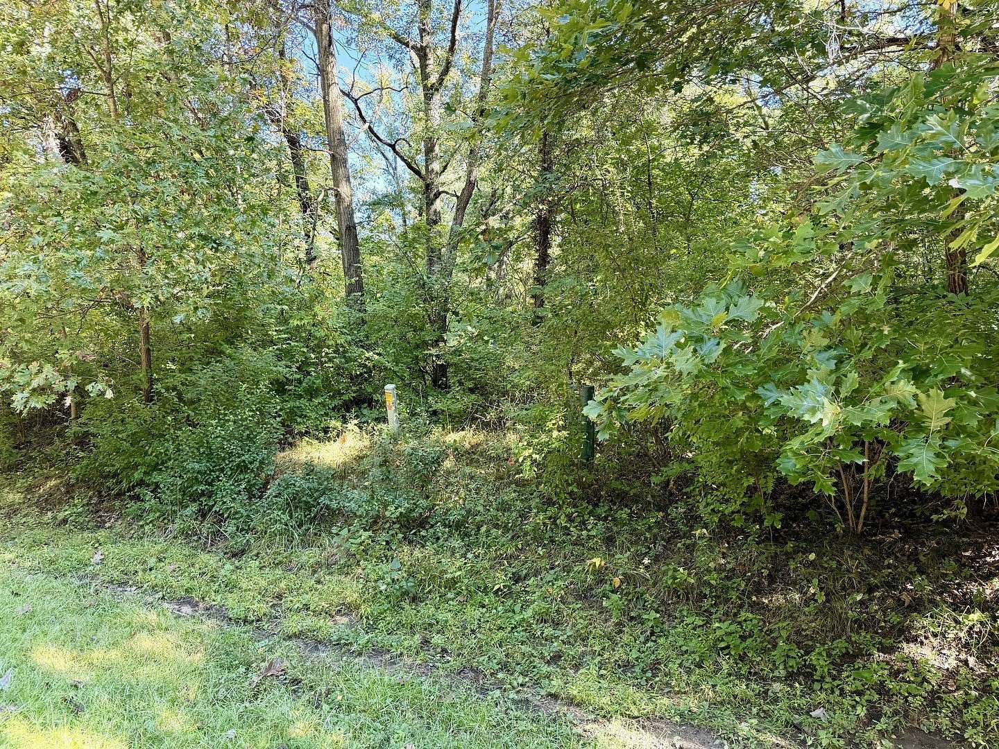 0.23 Acres of Residential Land for Sale in Dixon, Illinois