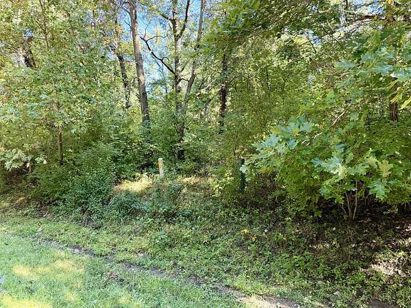 0.23 Acres of Residential Land for Sale in Dixon, Illinois