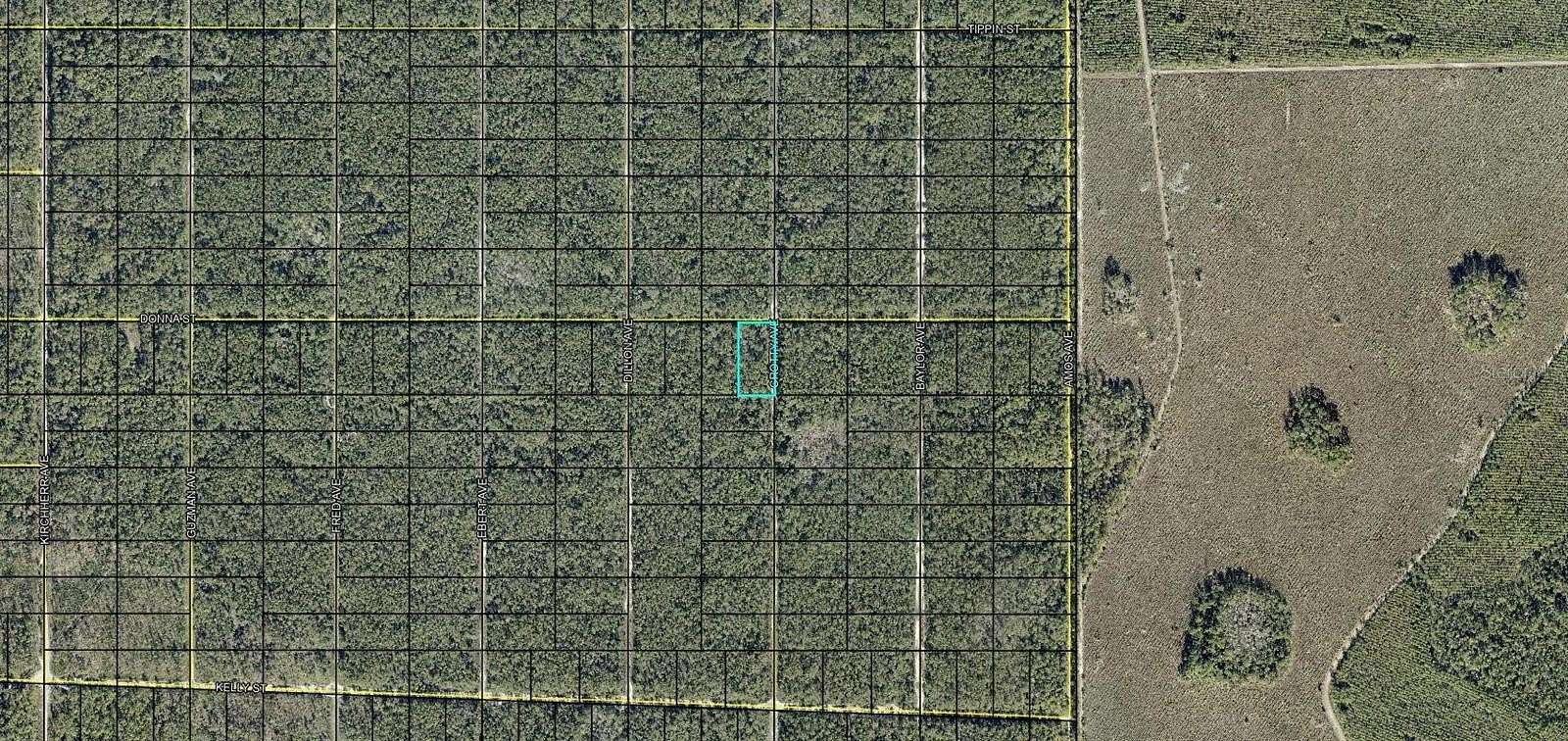 1.25 Acres of Residential Land for Sale in Hastings, Florida