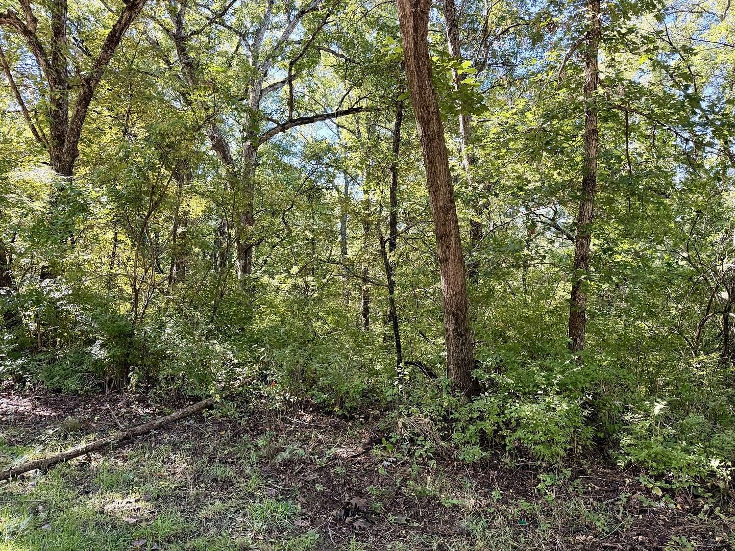0.26 Acres of Residential Land for Sale in Dixon, Illinois