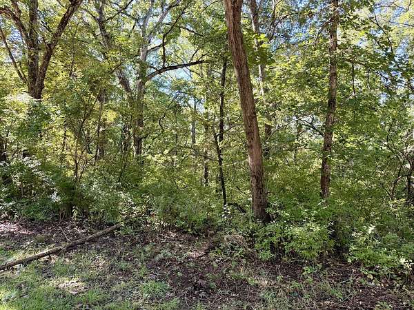 0.26 Acres of Residential Land for Sale in Dixon, Illinois