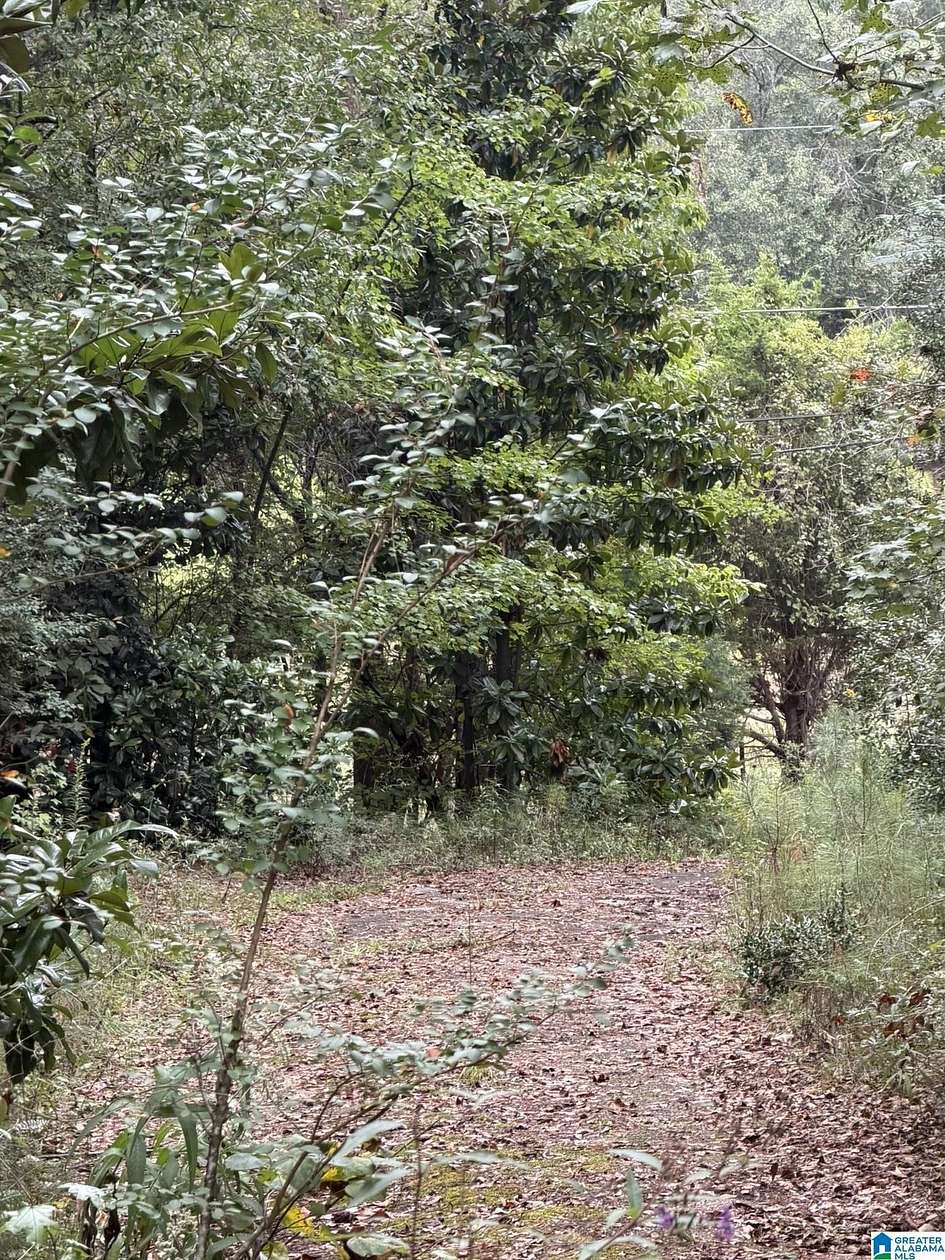 10.5 Acres of Land for Sale in Anniston, Alabama