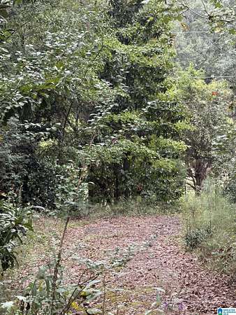 10.5 Acres of Land for Sale in Anniston, Alabama