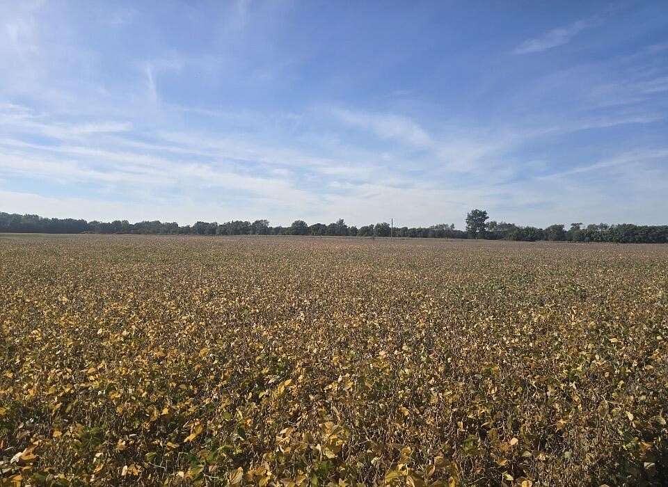134 Acres of Land for Sale in Coldwater, Michigan