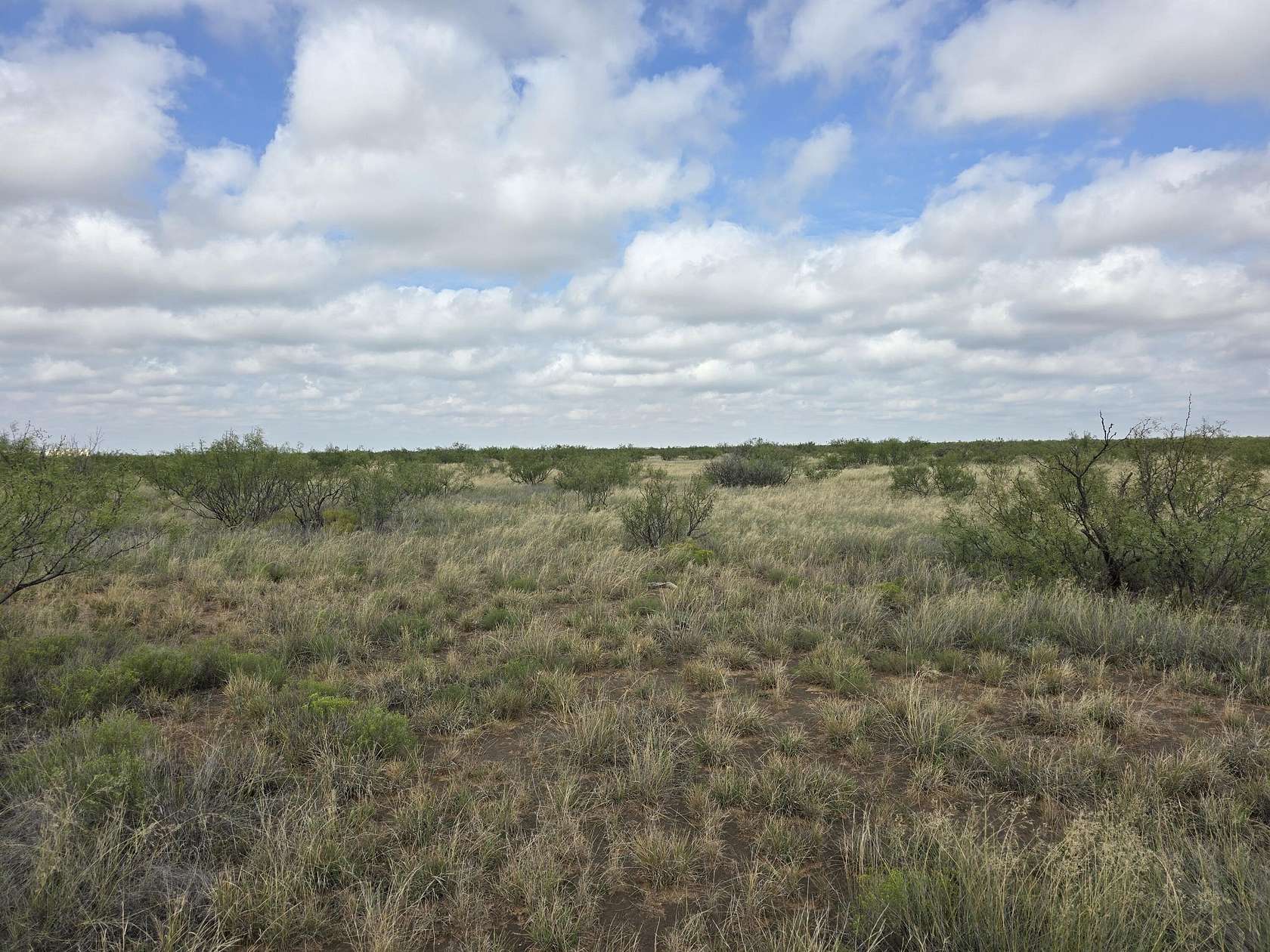 10 Acres of Land for Sale in Andrews, Texas