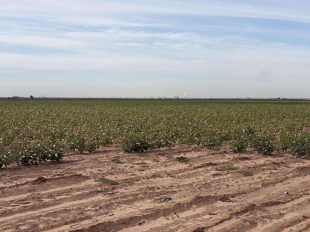 143 Acres of Land for Sale in Stanton, Texas
