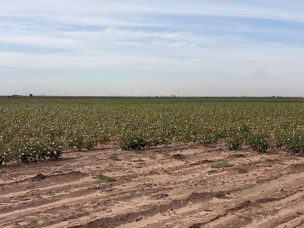143 Acres of Land for Sale in Stanton, Texas