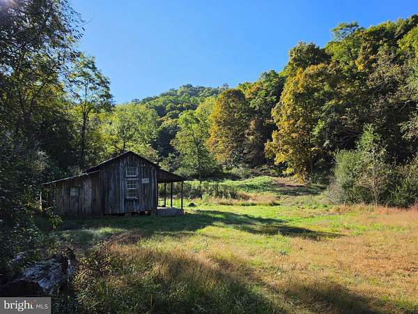 15 Acres of Land for Sale in Purgitsville, West Virginia