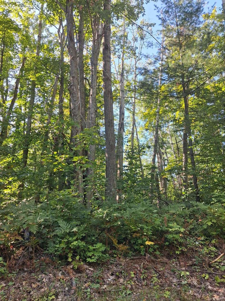 Residential Land for Sale in Gaylord, Michigan