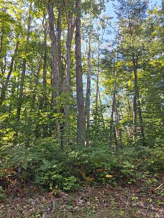 Residential Land for Sale in Gaylord, Michigan