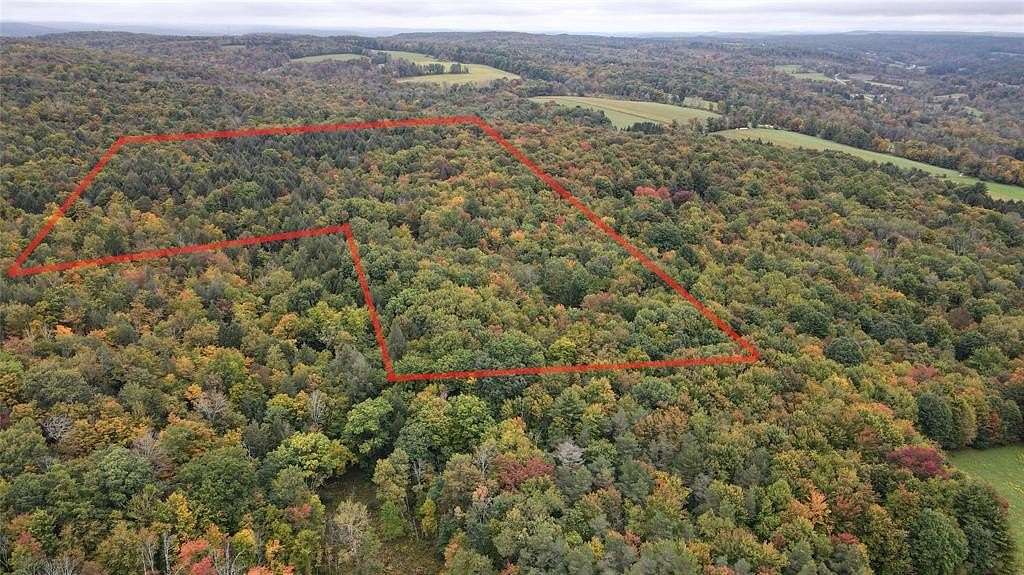 25 Acres of Recreational & Residential Land for Sale in Chenango Forks, New York