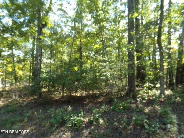 0.35 Acres of Residential Land for Sale in Crossville, Tennessee