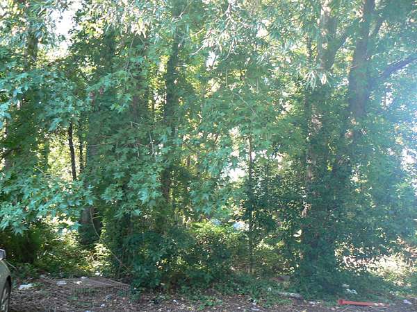 0.11 Acres of Land for Sale in Myrtle Beach, South Carolina