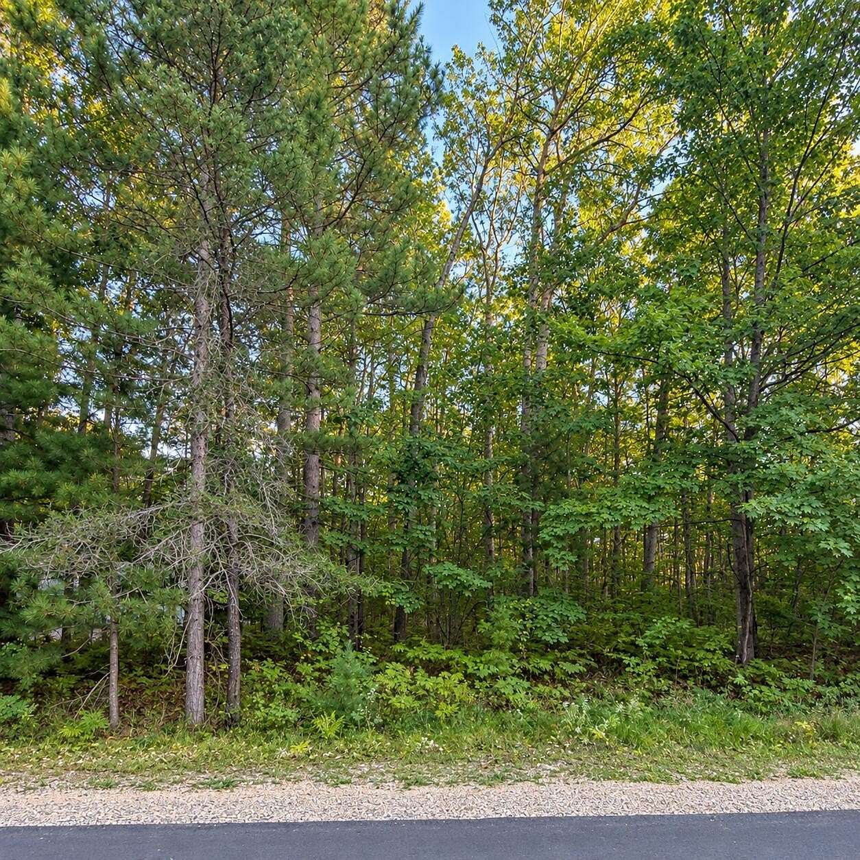 0.63 Acres of Residential Land for Sale in Roscommon, Michigan