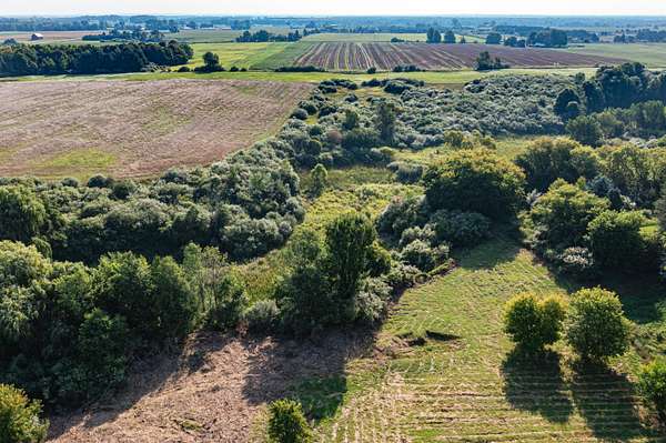26.5 Acres of Land for Sale in Ludington, Michigan
