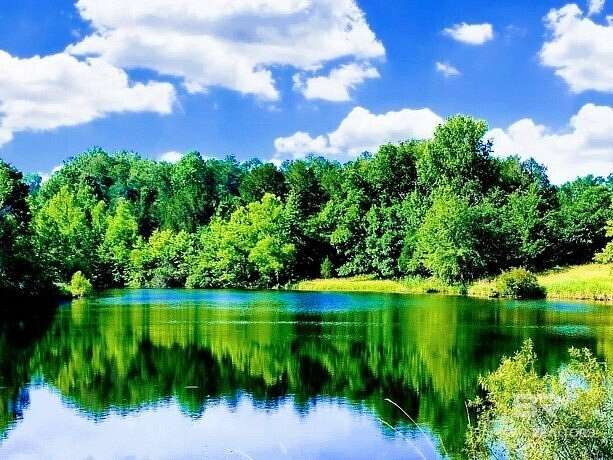 80 Acres of Recreational & Residential Land for Sale in Millry, Alabama