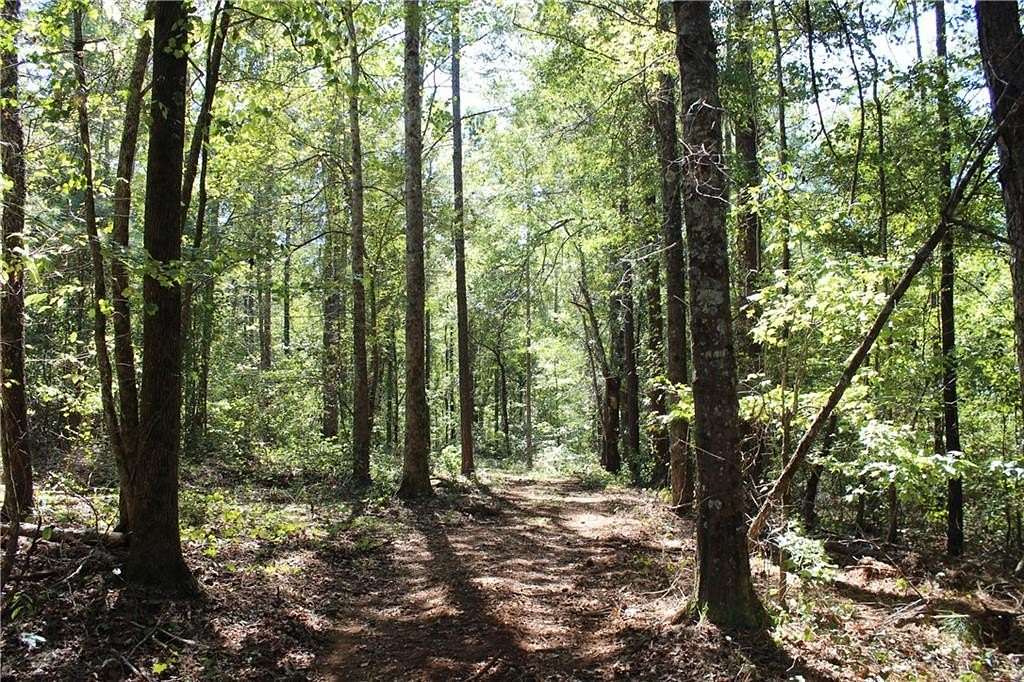 88 Acres of Land for Sale in Goodwater, Alabama
