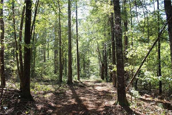 88 Acres of Land for Sale in Goodwater, Alabama