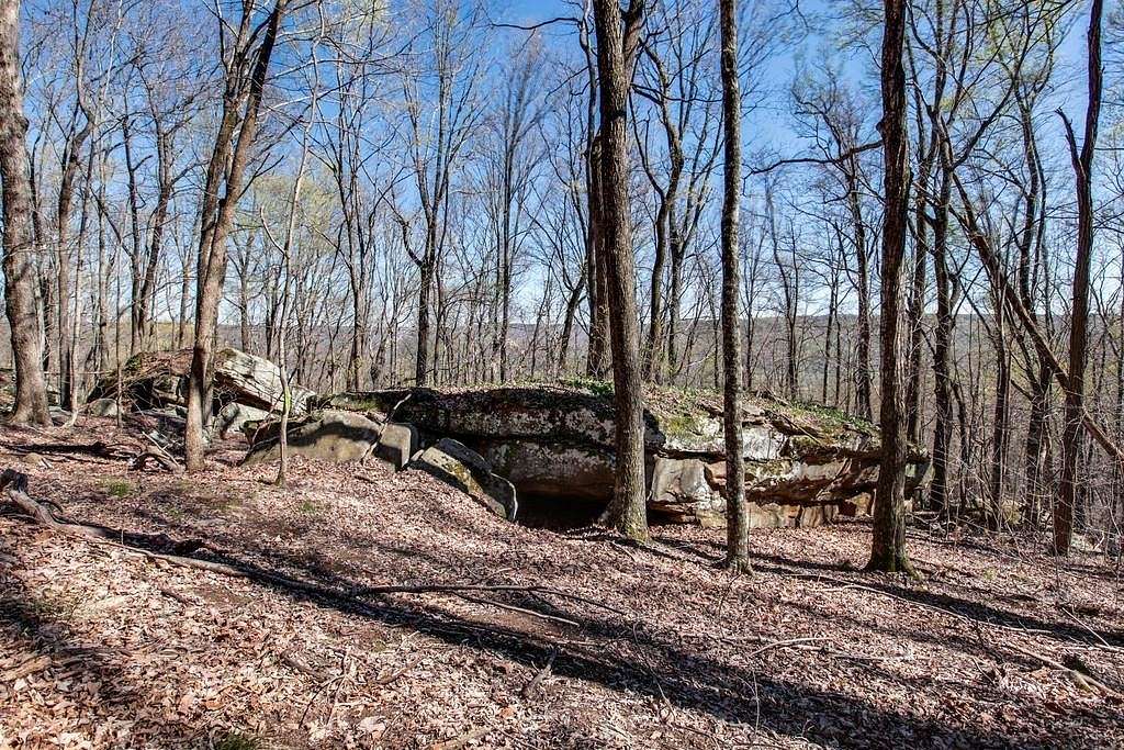 67 Acres of Recreational & Residential Land for Sale in McMinnville, Tennessee