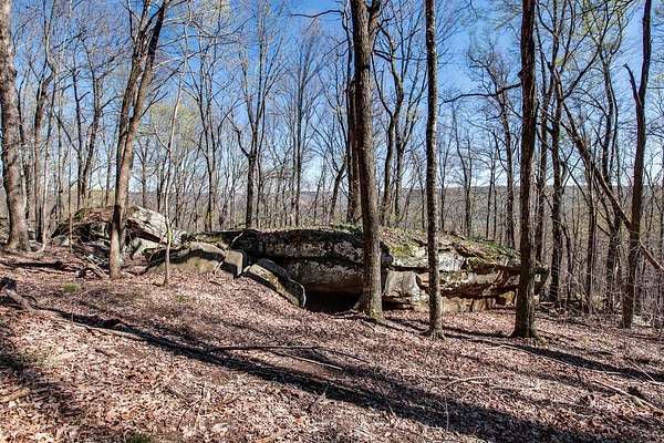 67 Acres of Recreational & Residential Land for Sale in McMinnville, Tennessee