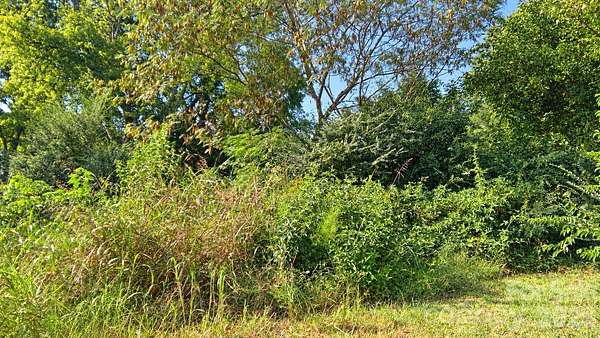 0.18 Acres of Residential Land for Sale in Chester, South Carolina