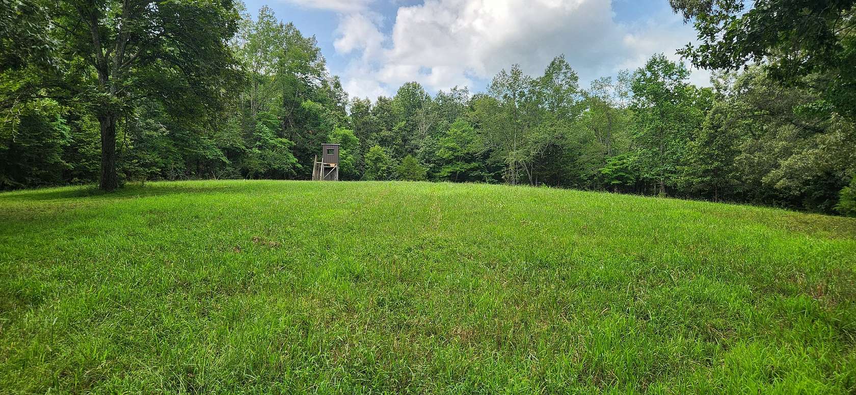 23.3 Acres of Recreational Land for Sale in Centerville, Tennessee