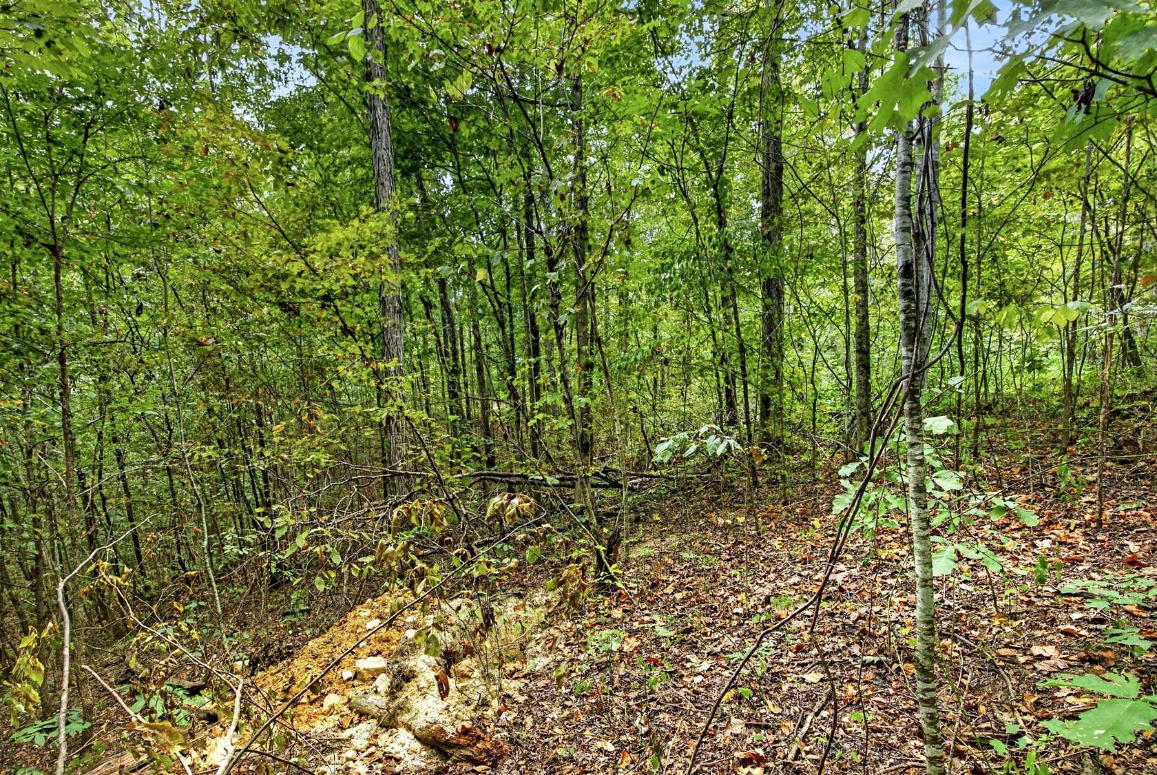 1.4 Acres of Residential Land for Sale in Celina, Tennessee