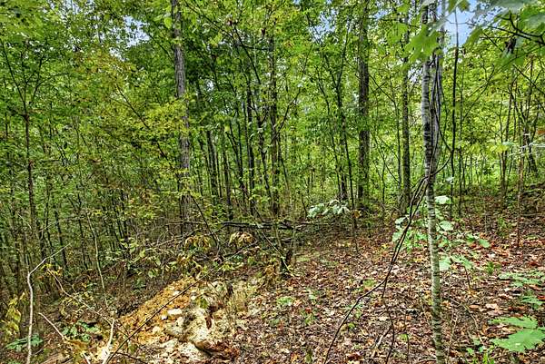 1.4 Acres of Residential Land for Sale in Celina, Tennessee