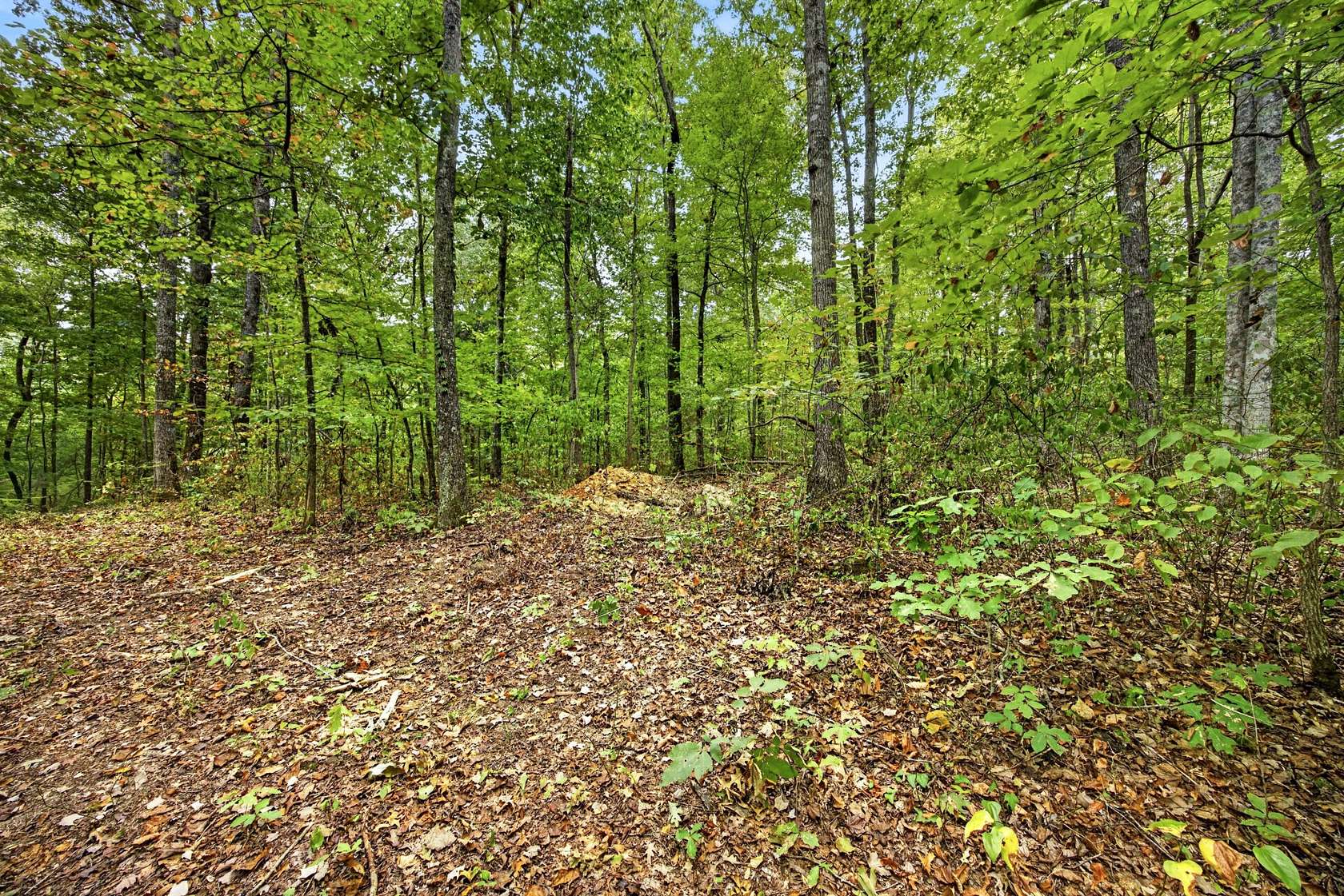 2.22 Acres of Residential Land for Sale in Celina, Tennessee