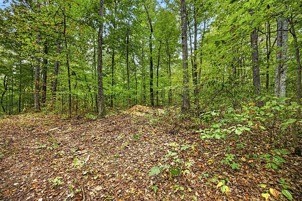 2.22 Acres of Residential Land for Sale in Celina, Tennessee