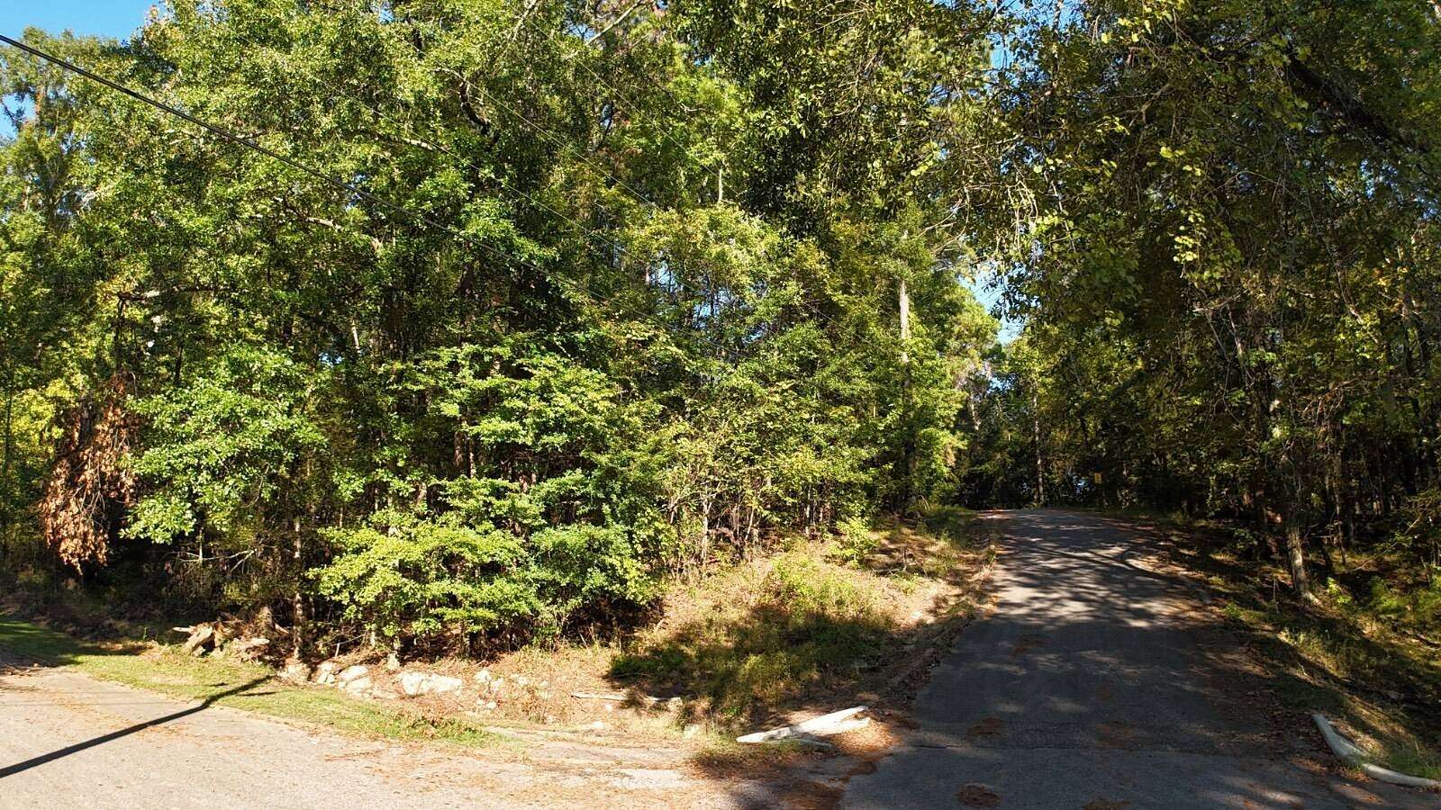 0.46 Acres of Residential Land for Sale in Jackson, Alabama