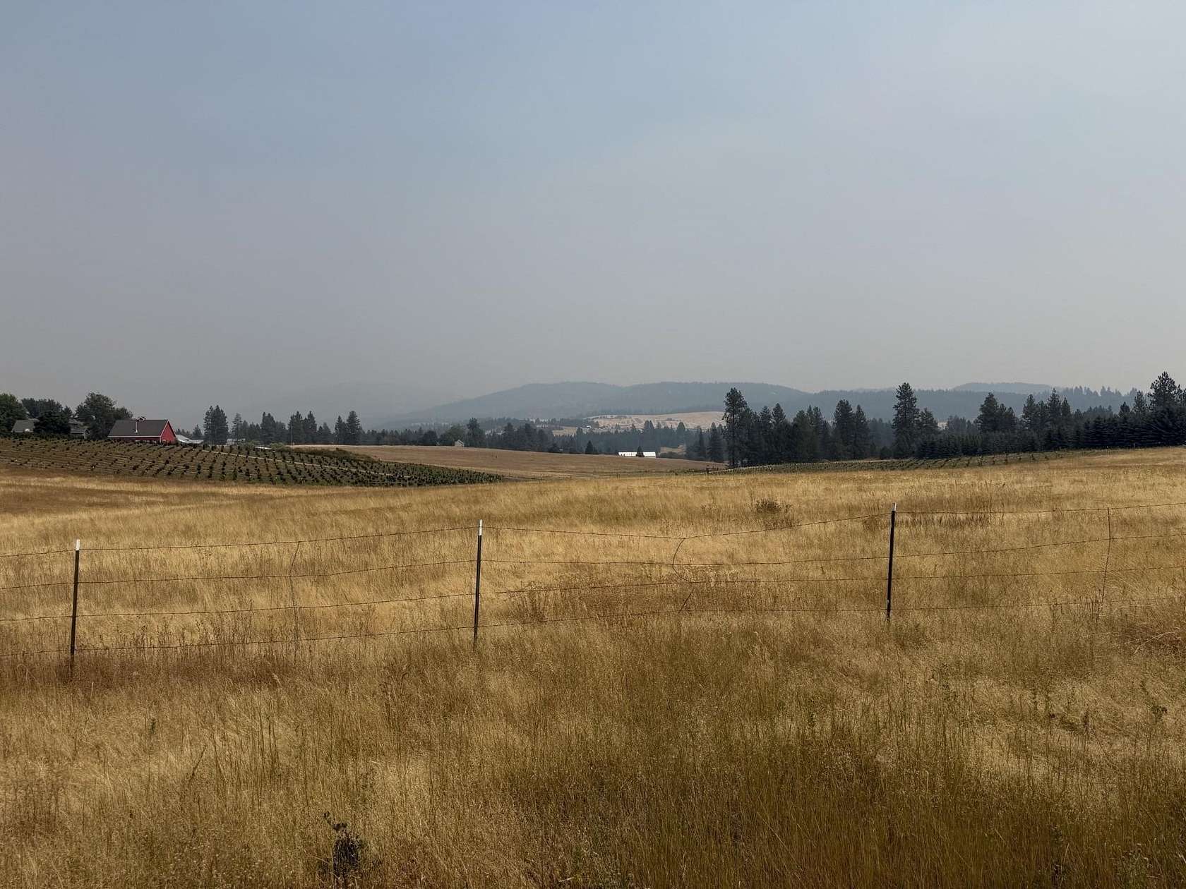 9.84 Acres of Land for Sale in Mica, Washington