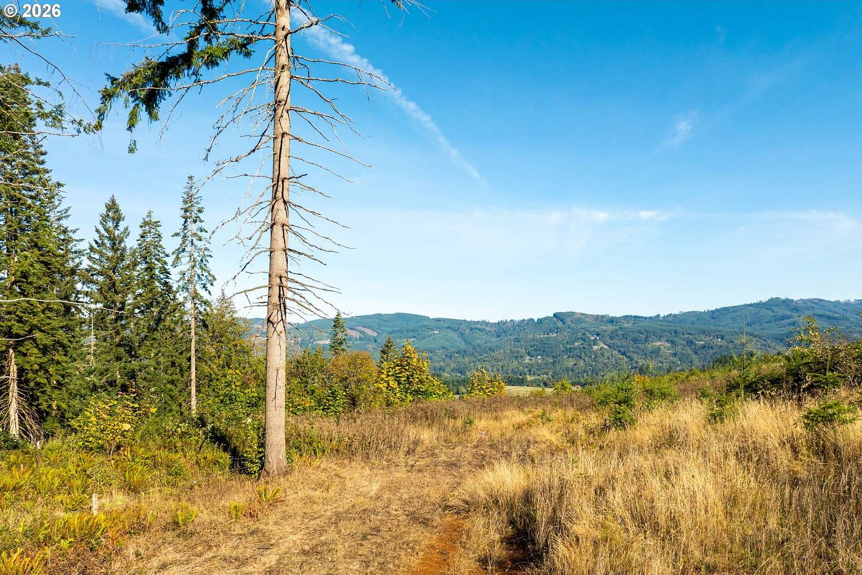 5.17 Acres of Residential Land for Sale in La Center, Washington