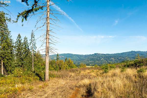 5.17 Acres of Residential Land for Sale in La Center, Washington