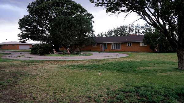 11.4 Acres of Land with Home for Sale in Springlake, Texas