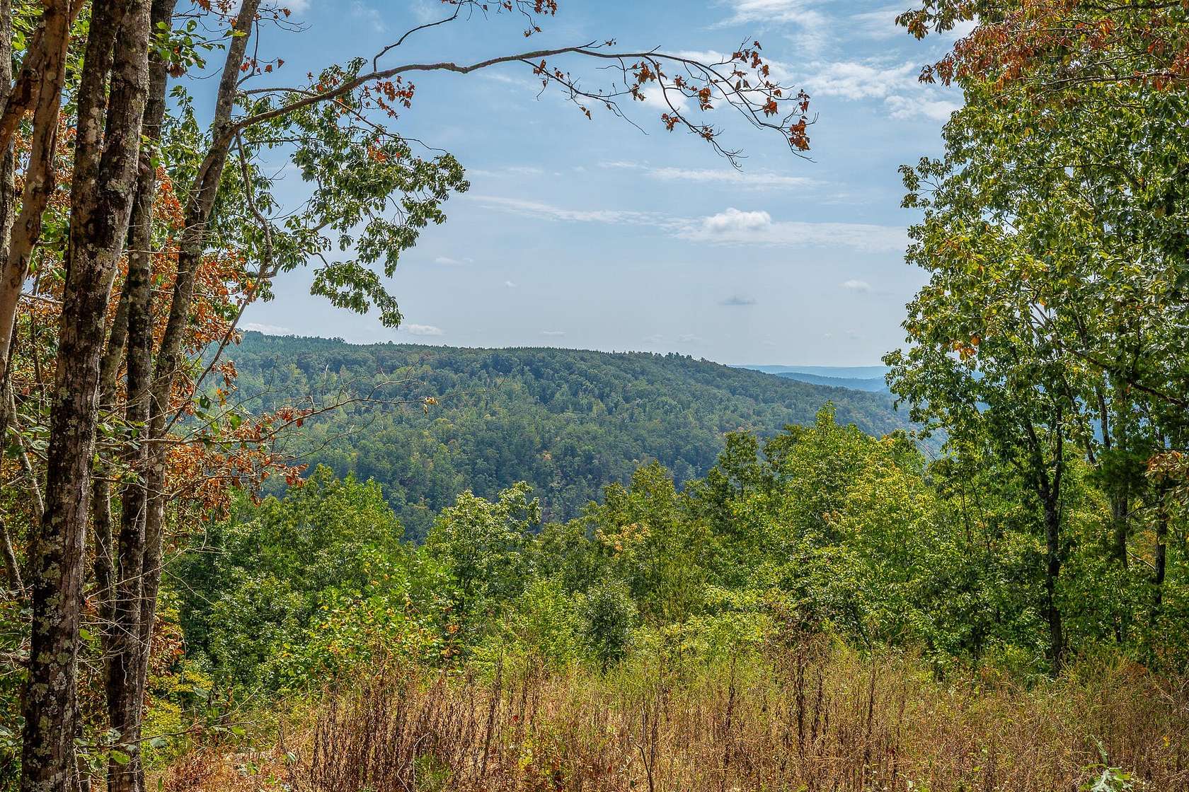 2.53 Acres of Residential Land for Sale in Haletown, Tennessee