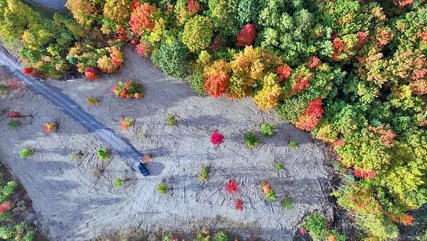 5.5 Acres of Land for Sale in Hodgdon, Maine