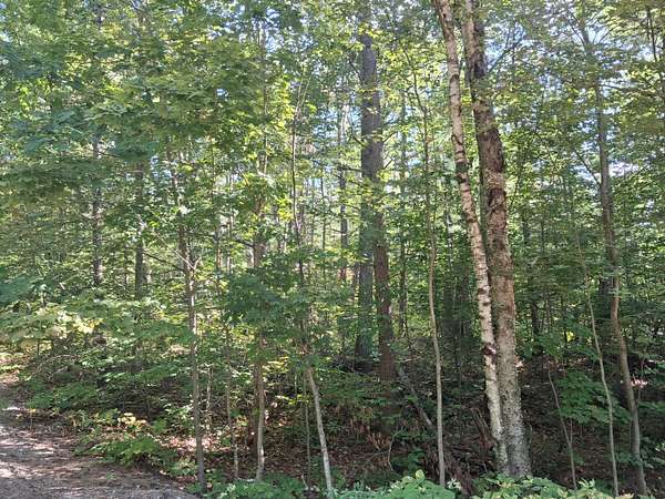 Residential Land for Sale in Gaylord, Michigan