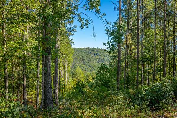 2.77 Acres of Residential Land for Sale in Haletown, Tennessee